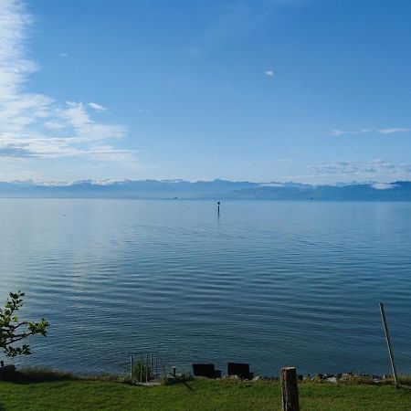 Birkhofer See Geniessen - Haus Seehang Immenstaad am Bodensee Exterior photo